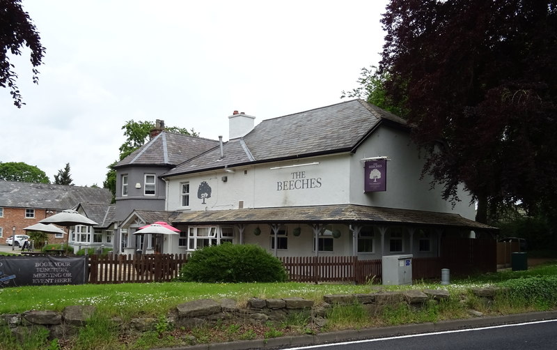 The Beeches